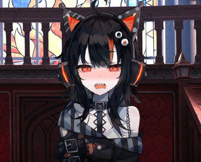 This was the cat homdgcat liked right